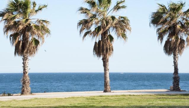 Appartement Apartamento Cerca Del Mar à Badalona Extérieur photo